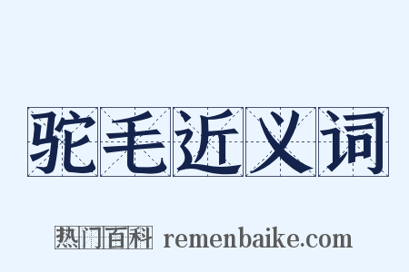 驼毛近义词是什么意思的图片